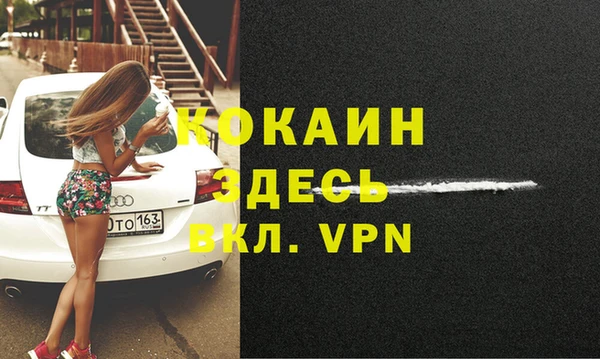 дживик Богородицк