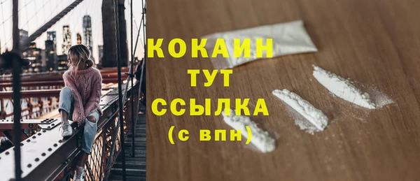 mdpv Богородск