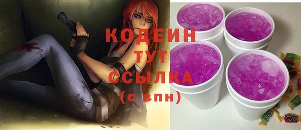 дживик Богородицк