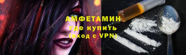 дживик Богородицк