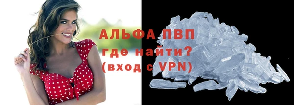 дживик Богородицк