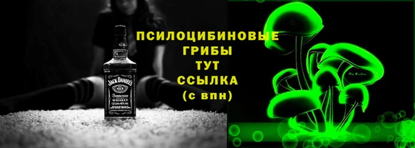 mdpv Богородск