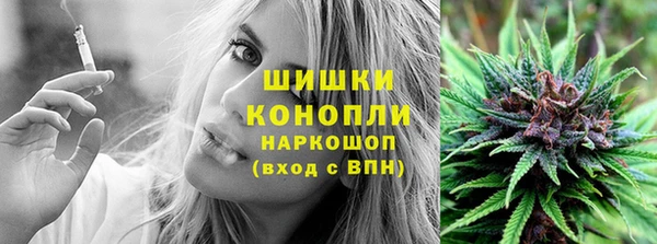 дживик Богородицк