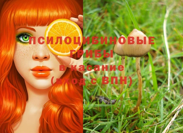 mdpv Богданович