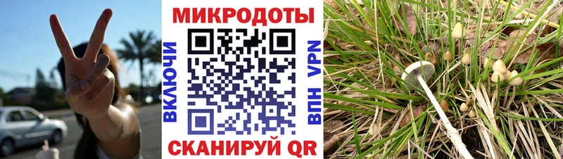 дарнет шоп Наро-Фоминск ссылка на мегу ONION Псилоцибиновые грибы MAGIC MUSHROOMS